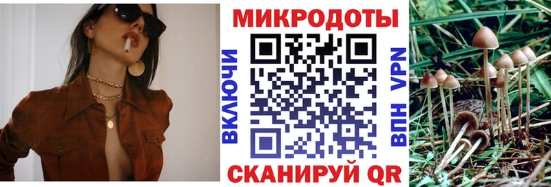Галлюциногенные грибы Psilocybe  наркотики  Нижнеудинск 