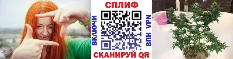 Канабис Bruce Banner Нижнеудинск